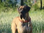 1-w-porannej-rosie-2521_150x0