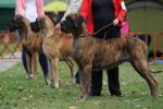 10-klasa-championow-fotl-l-klobasova-do-dol-2979_150x0