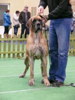 12-swiebodzice-2012-i-dosk-cwc-fot-i-pawlak-3483_150x0