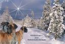 16-grudzien-2012-3034_128x128