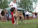 1jpg-2872_128x128