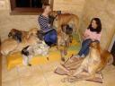 2-fot-nieco-dziwna-mina-magdy-i-bardzo-zdziwione-towarzystwojpg-3239_128x128