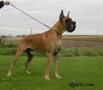 2-satchmo-422_150x0