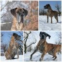 26-marzec-2013-tosia-ma-5-lat-fot-j-malinowska-3632_128x128