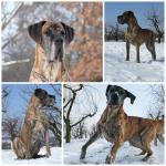 26-marzec-2013-tosia-ma-5-lat-fot-j-malinowska-3632_150x0