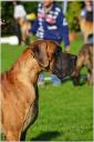 4-amarant-ddc-fotgdphotoprvpl-1652_128x128