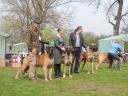 4-fot-pawlak-7164_128x128