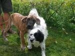 4-i-z-budrysem-1055_150x0