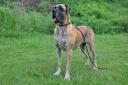 5-4980_128x128