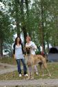 5-balda-fot-b-hajbosjpg-3396_128x128