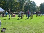 5-porownanie-bobjpg-4321_150x0