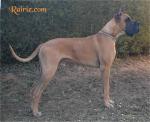 5satchmo357-425_150x0