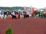 6-boke-na-finalachjpg-2042_150x0