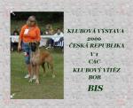 6vicomtesse321-406_150x0