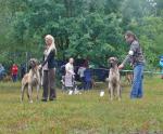 8-porownanie-najlepszy-juniorjpg-6119_150x0