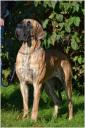 9-azura-troche-zamyslona-fotgdphotoprvpl-1650_128x128