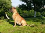 Amber-dwa-tyg-1-3797_150x0