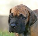 Coraljpg-4215_128x128
