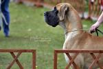 Dolozone-5-fot-gdphotography-2908_150x0