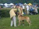 Dsc03750jpg-299_128x128