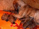 Ibp05843-730_128x128