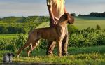 P1560228cropjpg-5881_150x0