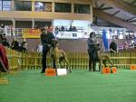 P1580777jpg-6437_150x0